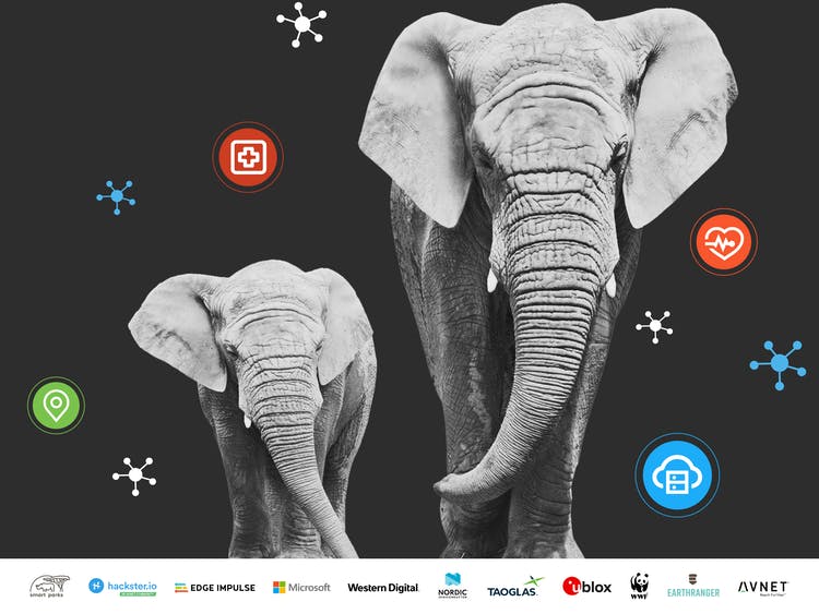 Contest, um mit Künstlicher Intelligenz Elefanten zu schützen