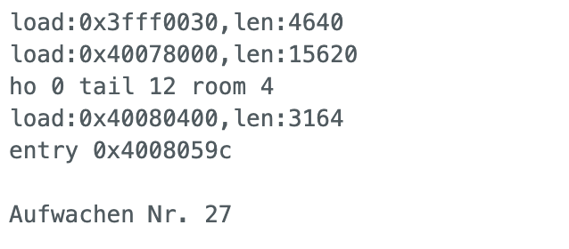 Ausgabe im Seriellen Monitor beim ESP32 Deep Sleep